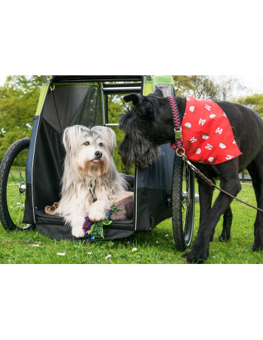 Croozer Dog Jokke (XL)