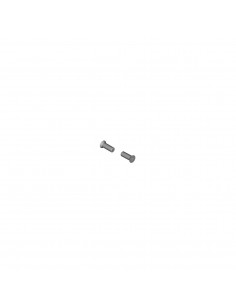 As Derailleurwieltje