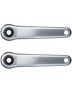 Cranks STEPS FC-E6100 Zilver