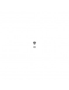 Ontluchtings Nippel En O Ring