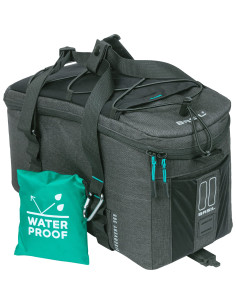 Basil dragertas Discovery...