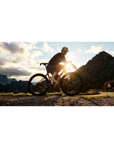 Domane SLR 7 AXS Mother of...
