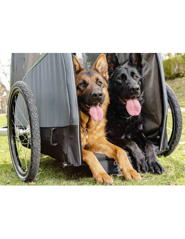 Croozer Dog Bruuno (XXL)