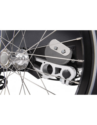 Croozer Kid Keeke 2 Stone grey