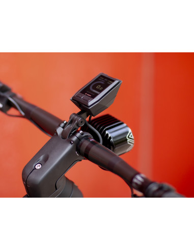 Trek ALLANT+ 9.9 STAGGER