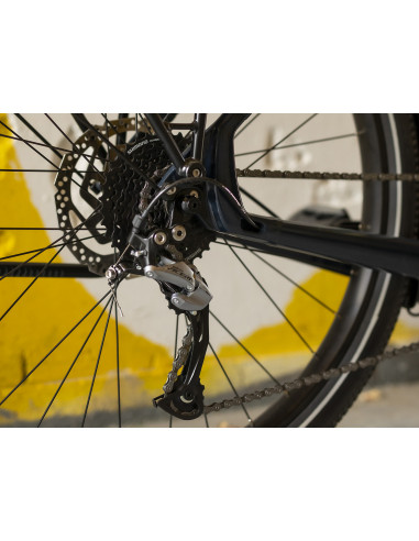 Trek ALLANT+ 7 Lowstep