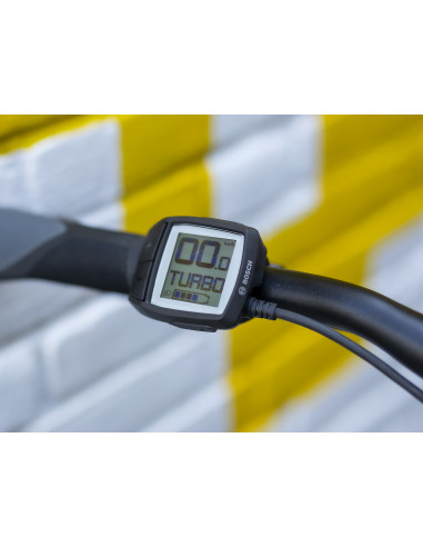 Trek ALLANT+ 7 Lowstep