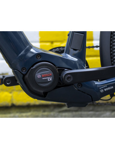 Trek ALLANT+ 7 Lowstep