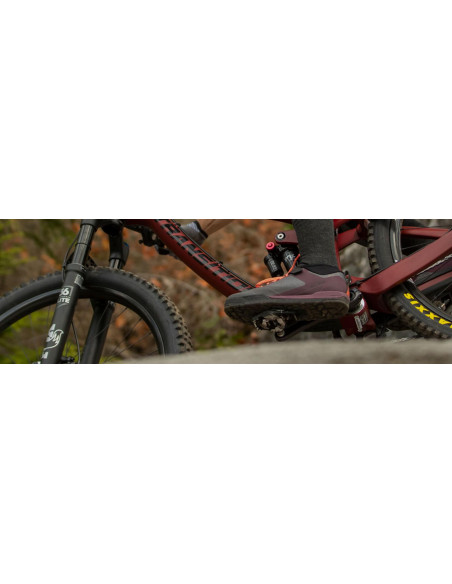 Pedalen